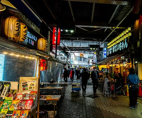 アメヤ横丁 / 上野