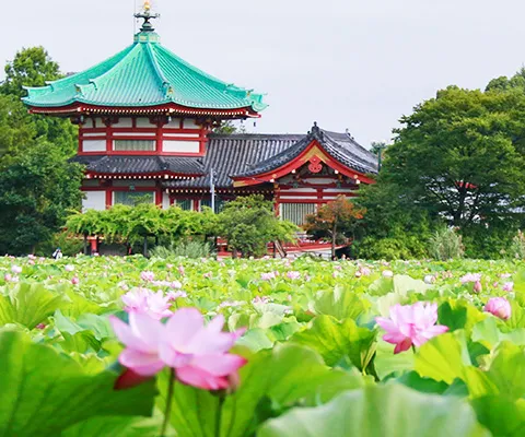 不忍池と辯天堂/ 上野