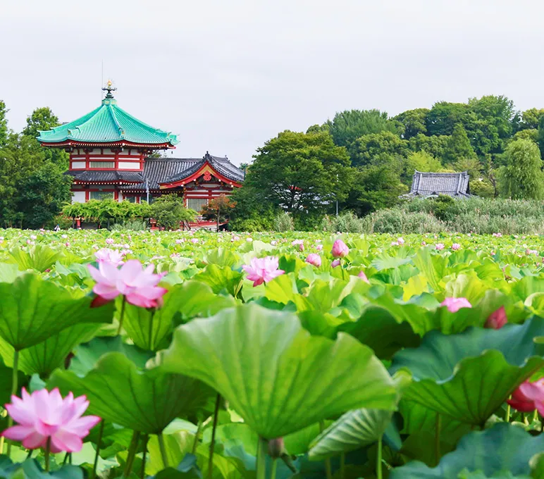 不忍池と辯天堂